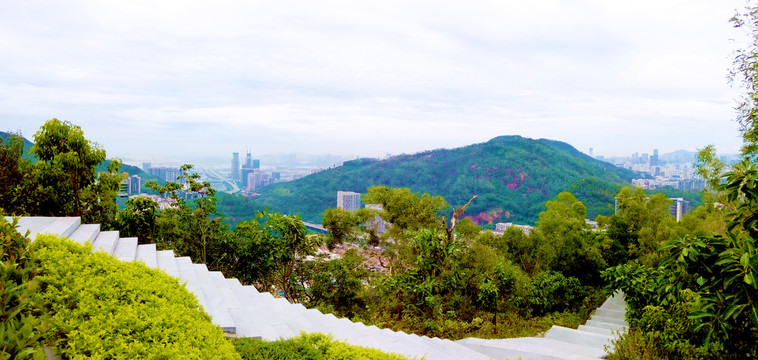 山中道路全景