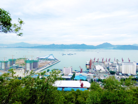 蛇口赤湾风景