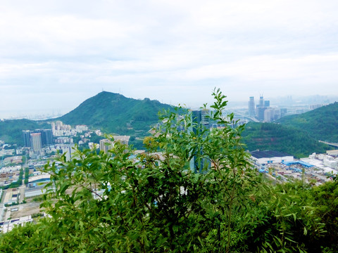 深圳赤湾城市风景