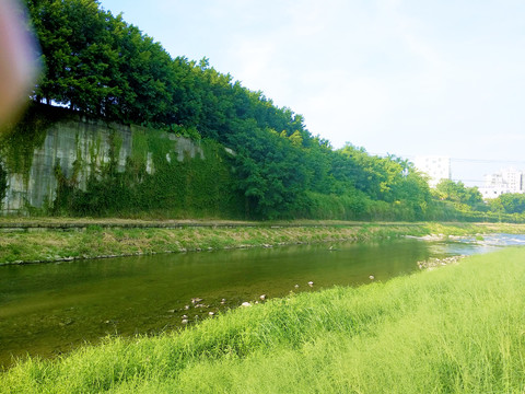 深圳龙岗河