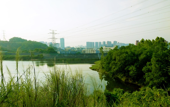 城市湿地河流