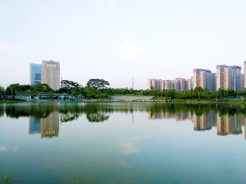 大运中心湖畔风景