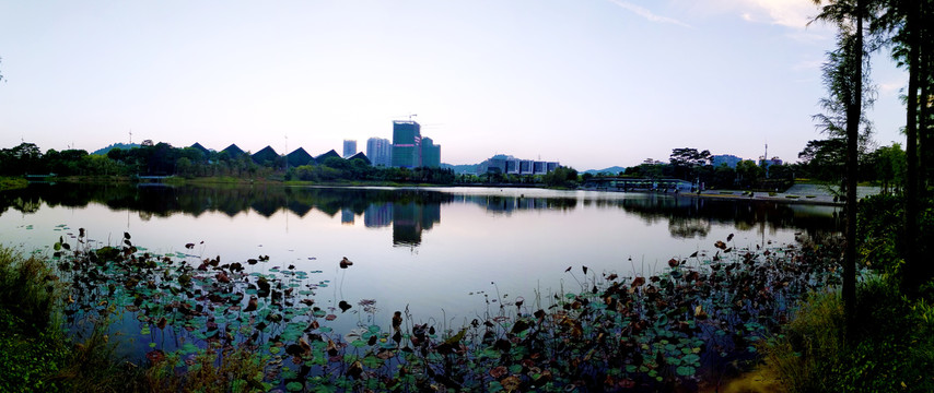 大运中心湖畔风景