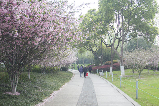 花道
