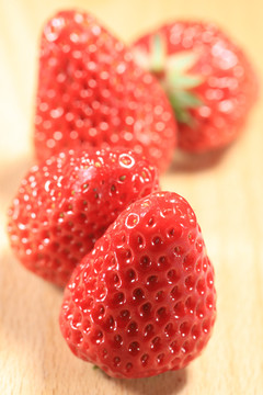 红颜草莓棚拍