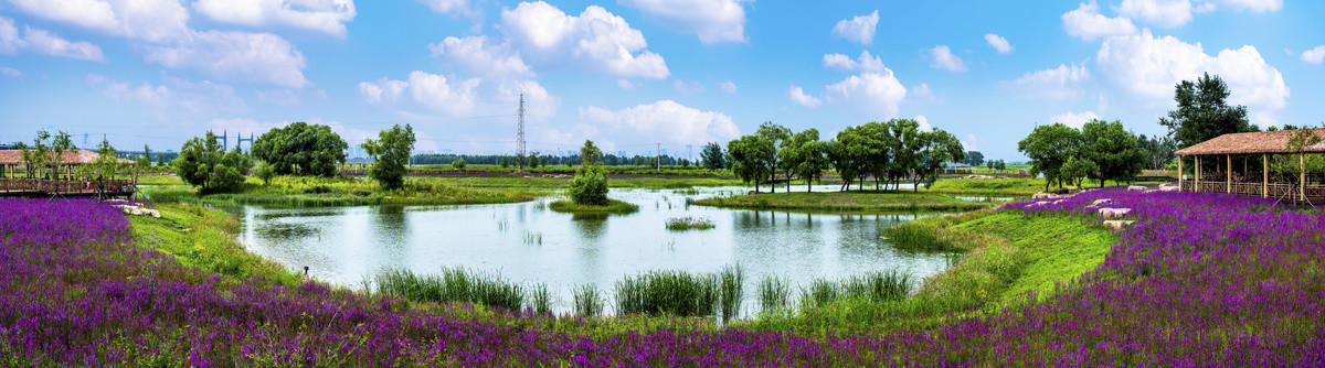 城市湿地花园