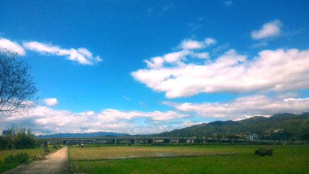 乡村风景