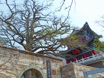 花果山云台山