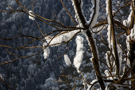 衡山雪景