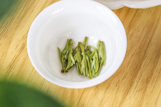 新茶春茶茶底