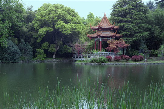 青山公园