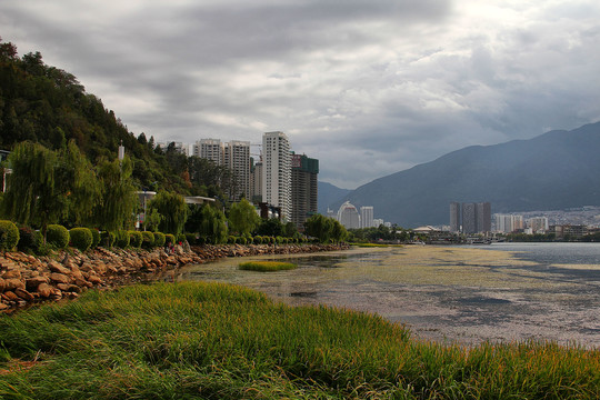 大理城市街景