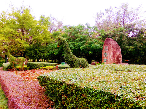 荔香公园风景