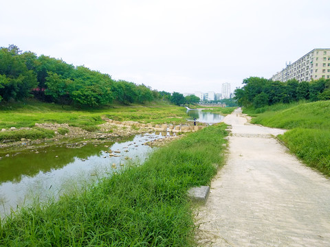 深圳龙岗河