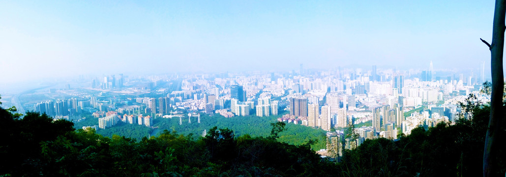 远望深圳城市风光全景