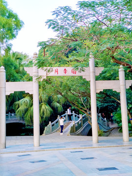 深圳人民公园月季园