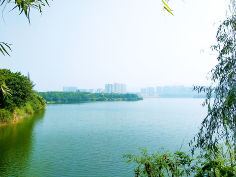 深圳立新湖风景