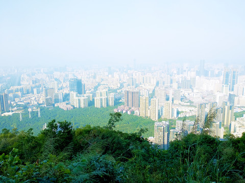 南山远望深圳风景