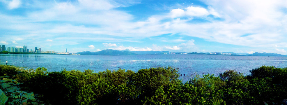 深圳湾海边全景