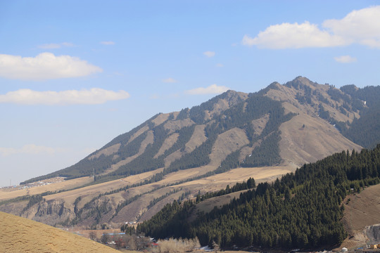 新疆天山美丽景色