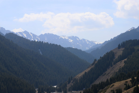 乌鲁木齐南山风景