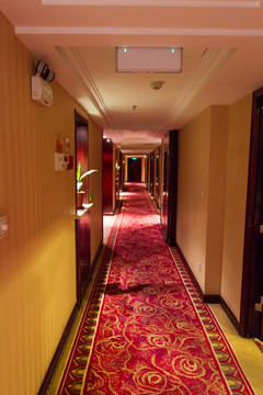 宾馆酒店客房楼层走廊