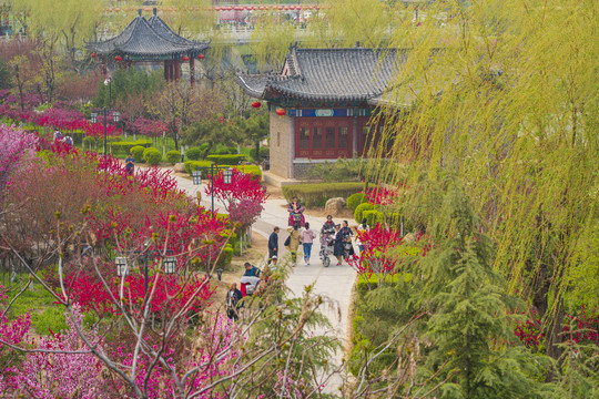 青州南阳河风景区春天