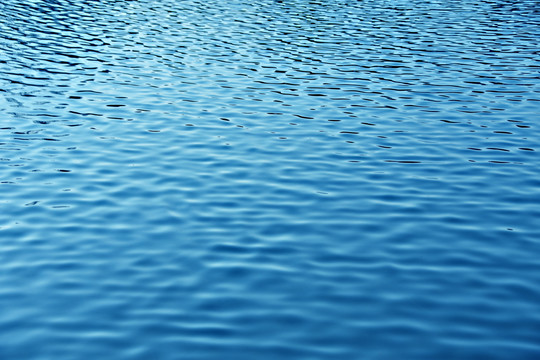 海洋
