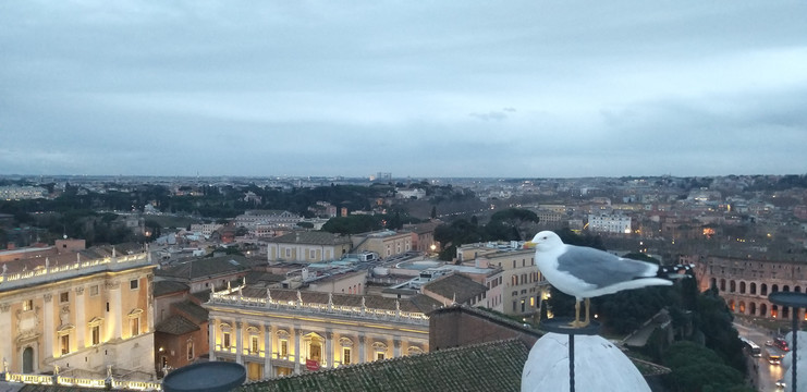罗马国会大厦鸟瞰