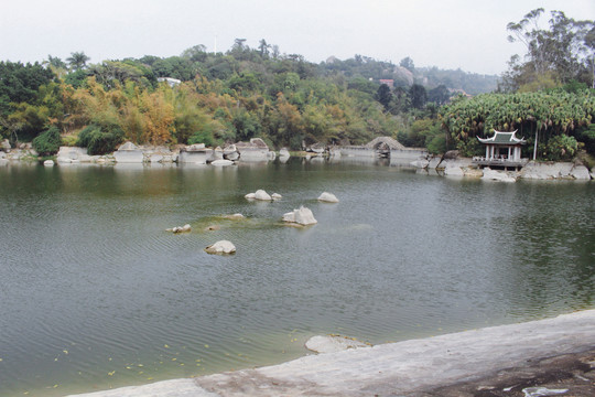 厦门植物园湖