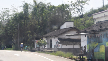 阳山S114路边瓦房