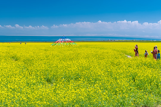 青海湖