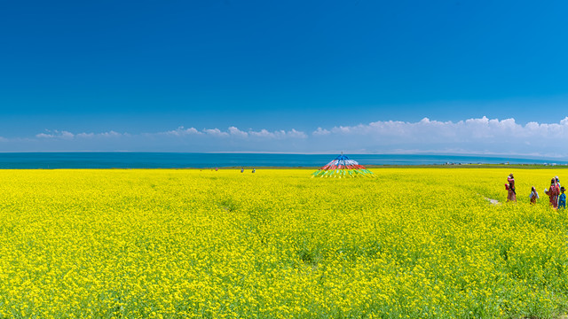 青海湖