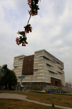 武汉理工大学的春天