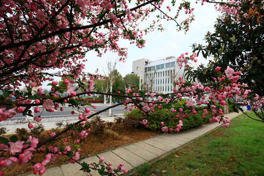 武汉理工大学图书馆