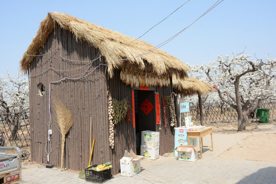 田园茅屋