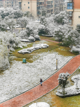 雪景