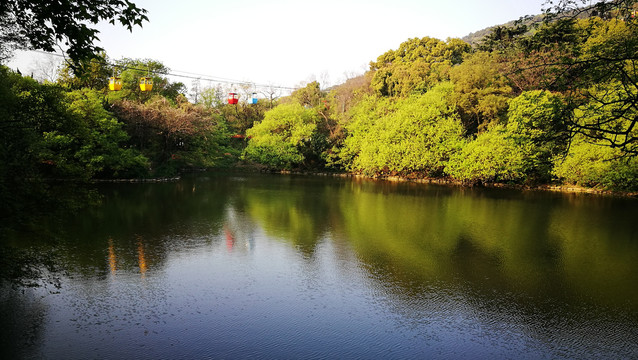 无锡锡惠公园春景