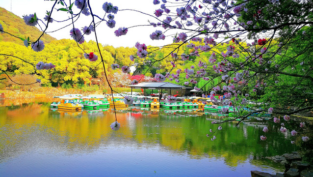 无锡惠山公园春景