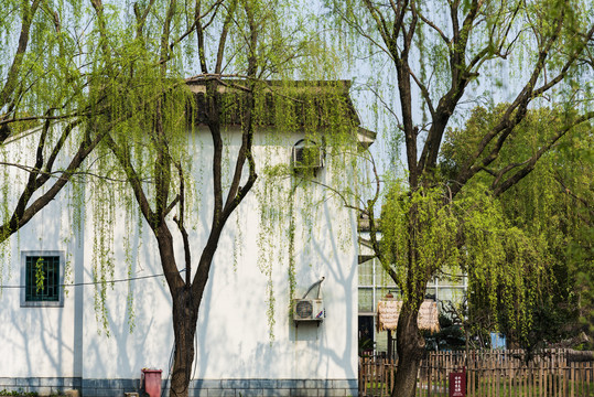 乡村风景