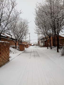 农村村庄路上雪景