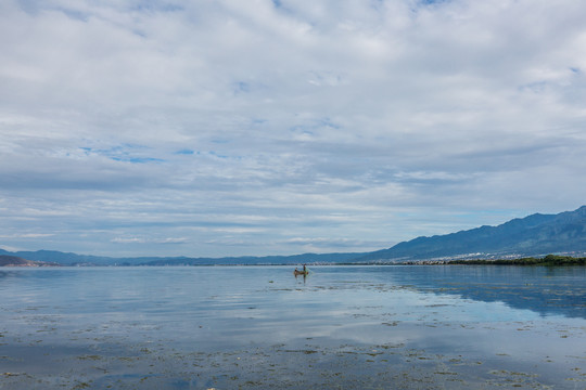 洱海