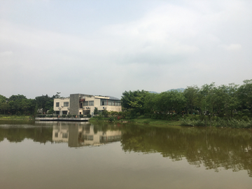 公园水库景观