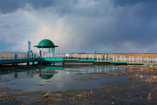 大庆湿地