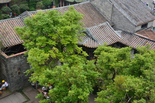 可园建筑