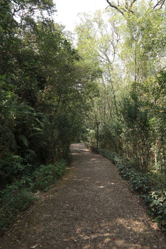 圭峰山鹅卵石小路