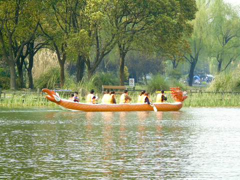 一群游客划龙舟