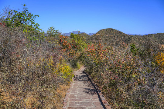 登山步道高清大图