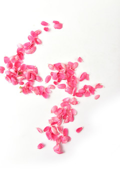粉色花瓣背景花瓣素材