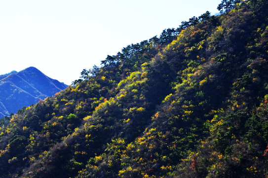 初秋的山